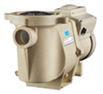 Variable Speed Pumps