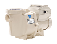 Variable Speed Pumps